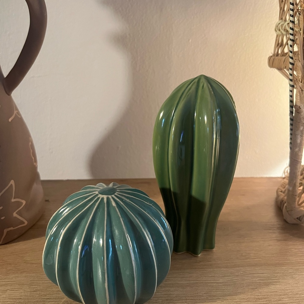 Ceramic Cactus Decor Set in Green and Teal